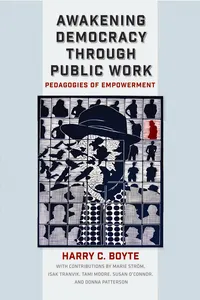 Awakening Democracy through Public Work_cover