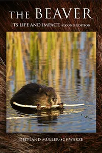 The Beaver_cover