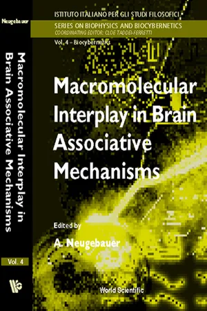 Macromolecular Interplay In Brain Associative Mechanisms