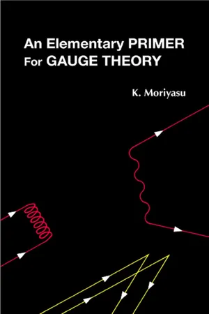 An Elementary Primer for Gauge Theory