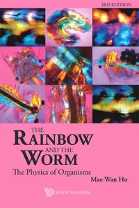 The Rainbow and the Worm_cover