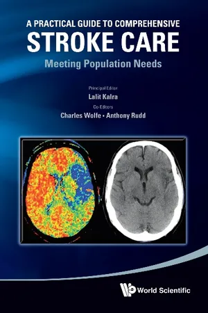 Practical Guide To Comprehensive Stroke Care, A: Meeting Population Needs