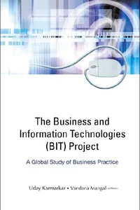 Business And Information Technologies Project, The: A Global Study Of Business Practice_cover