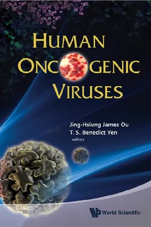 Human Oncogenic Viruses