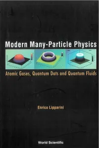 Modern Many-particle Physics: Atomic Gases, Quantum Dots And Quantum Fluids_cover