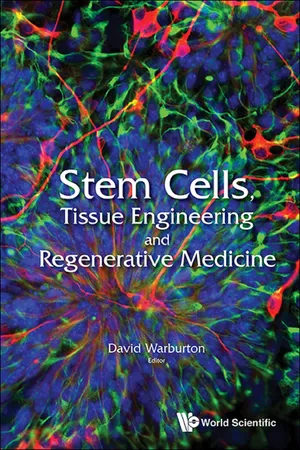 Stem Cells, Tissue Engineering And Regenerative Medicine