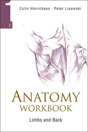 Anatomy Workbook