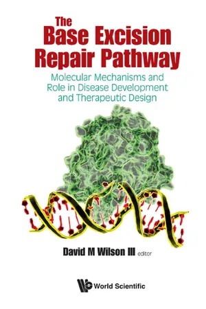 The Base Excision Repair Pathway