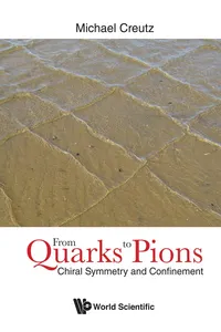 From Quarks to Pions_cover
