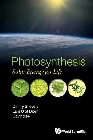 Photosynthesis