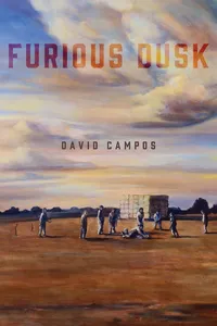 Furious Dusk_cover