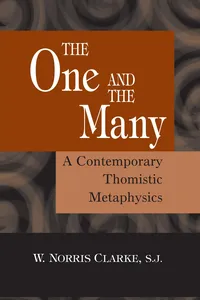 The One and the Many_cover