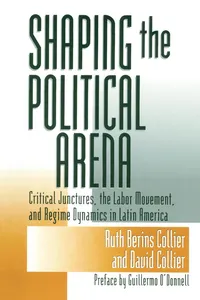 Shaping the Political Arena_cover