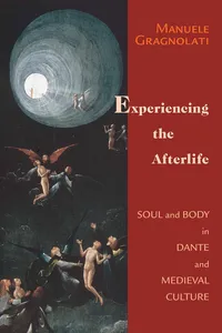 Experiencing the Afterlife_cover