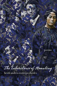 The Inheritance of Haunting_cover