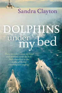 Dolphins Under My Bed_cover