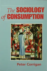 The Sociology of Consumption_cover