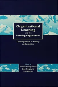 Organizational Learning and the Learning Organization_cover