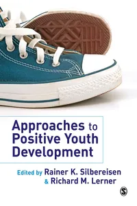 Approaches to Positive Youth Development_cover