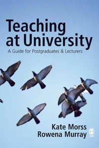 Teaching at University_cover