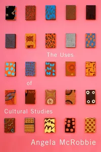 The Uses of Cultural Studies_cover