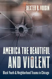 America the Beautiful and Violent_cover