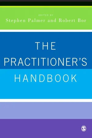 The Practitioner′s Handbook