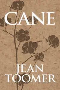 Cane_cover