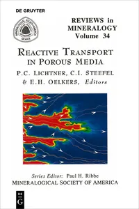 Reactive Transport in Porous Media_cover