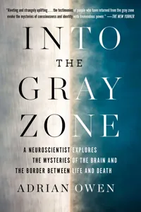 Into the Gray Zone_cover