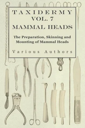 Taxidermy Vol. 7 Mammal Heads - The Preparation, Skinning and Mounting of Mammal Heads
