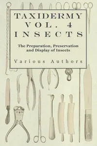 Taxidermy Vol. 4 Insects - The Preparation, Preservation and Display of Insects_cover