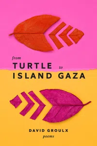 From Turtle Island to Gaza_cover