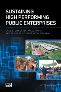 Sustaining High Performing Public Enterprises_cover