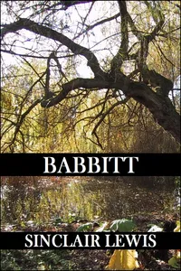 Babbitt_cover