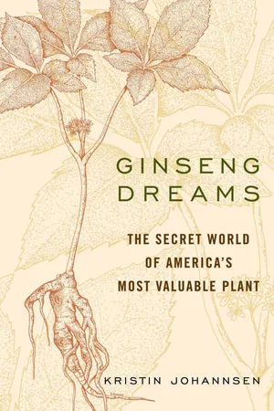 Ginseng Dreams