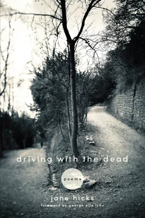 Driving with the Dead