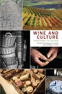 Wine and Culture_cover