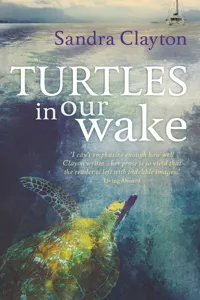 Turtles in Our Wake_cover