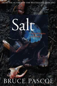 Salt_cover
