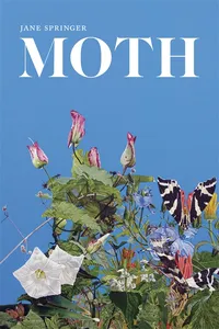 Moth_cover