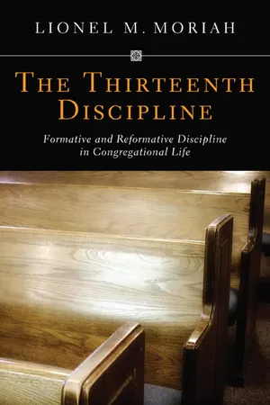 The Thirteenth Discipline