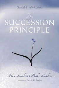 The Succession Principle_cover