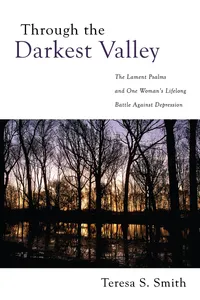 Through the Darkest Valley_cover