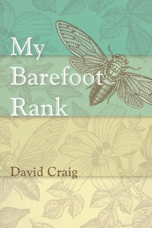 My Barefoot Rank