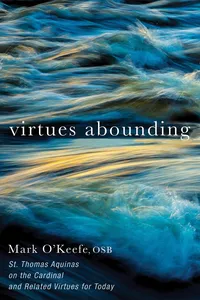 Virtues Abounding_cover