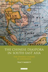 The Chinese Diaspora in South-East Asia_cover