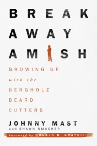 Breakaway Amish_cover