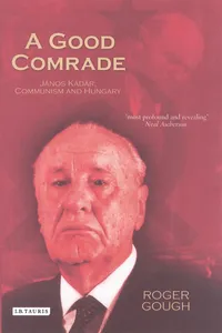 A Good Comrade_cover