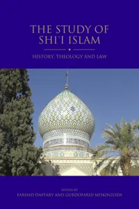 The Study of Shi'i Islam_cover